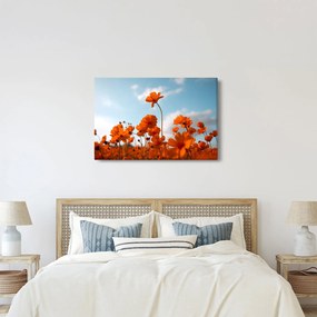Obraz - Lúčne kvety (90x60 cm)