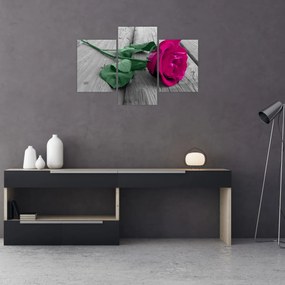 Obraz - Ružová ruža so zelenou stonkou (90x60 cm)