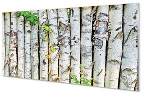 Sklenený obraz brezové lístie 100x50 cm