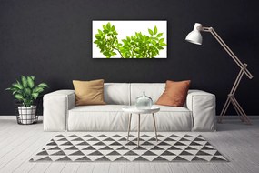 Obraz Canvas Vetva listy rastlina príroda 120x60 cm
