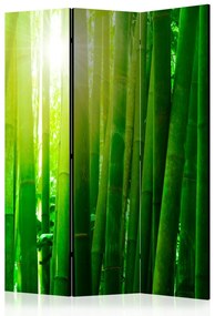 Artgeist Paraván - Sun and bamboo [Room Dividers]