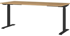 Polohovací pracovný stôl s elektricky nastaviteľnou výškou s doskou v dubovom dekore 80x180 cm Agenda – Germania