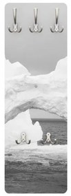 Vešiak na stenu Arktický ľadovec II