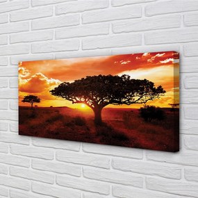 Obraz canvas Stromy mraky západ 120x60 cm