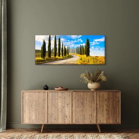 Obraz - Krajina (120x50 cm)