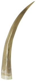 Dekratívny roh Bizon - 55cm