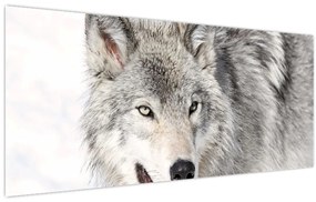 Obraz - Vlk v prírode (120x50 cm)