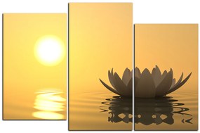 Obraz na plátne - Zen lotus 1167C (135x90 cm)