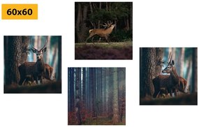 Set obrazov čaro lesných zvierat - 4x 60x60