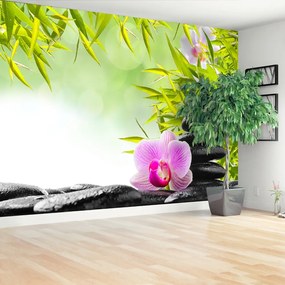 Fototapeta Vliesová Bambus a orchidea 312x219 cm