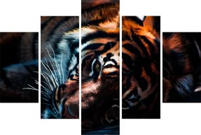 Obraz ležiaceho tigra (150x105 cm)