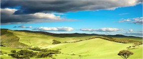 Obraz - Zelená krajina s pahorkami (120x50 cm)