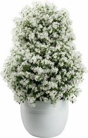 PLASTOVÝ KVETINÁČ LUNA CLASSIC 45,5X38 CM BIELA