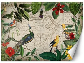 Gario Fototapeta Divoké tropické vtáky - Andrea Haase Materiál: Vliesová, Rozmery: 200 x 140 cm