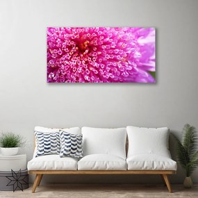 Obraz na plátne Kvet 125x50 cm