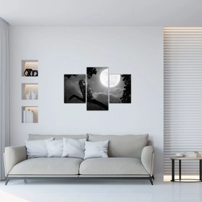 Obraz - Nočná sova, čiernobiela (90x60 cm)