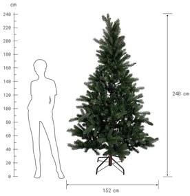 TREE OF THE MONTH Vianočný stromček 240 cm - zelená