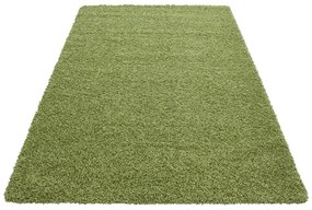 Zelený koberec 160x230 cm Life – Ayyildiz Carpets