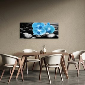 Obraz - Modrá orchidea (120x50 cm)