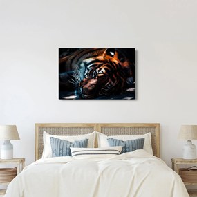 Obraz ležiaceho tigra (90x60 cm)