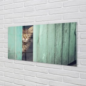 Obraz na akrylátovom skle Zaglądający cat 140x70 cm