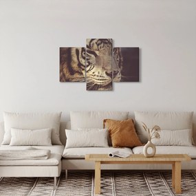 Obraz tigra (90x60 cm)
