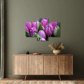 Obraz - kvety tulipánov (90x60 cm)