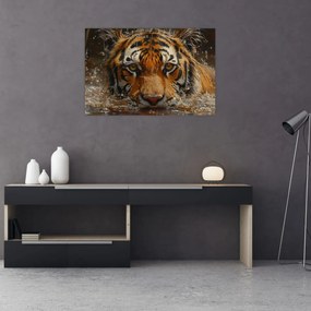 Obraz - Portrét tigra vo vode (90x60 cm)