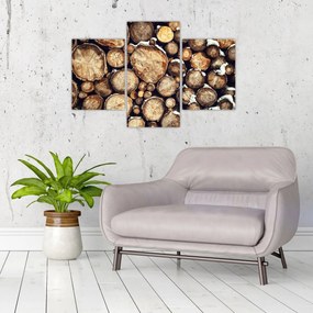 Obraz - Drevo v snehu (90x60 cm)