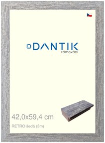 DANTIK rám na obraz 42x59,4 | RETRO šedá (Plexi Čiré)