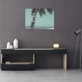 Obraz - Palma v Karibiku (70x50 cm)
