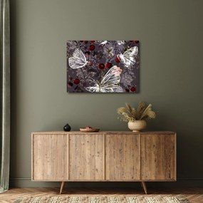 Obraz motýľov (70x50 cm)
