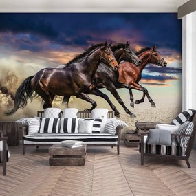 Fototapeta - Kôň (254x184 cm)
