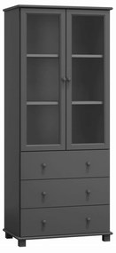 Vitrína RW104 80x42 cm Sivá