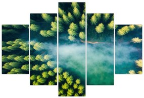 Obraz - Hmlou zahalený les (150x105 cm)