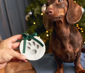 Súprava na vytváranie odtlačkov labiek