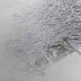 Obraz - Zimná alej (150x105 cm)