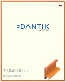 DANTIK rám na obraz 40x50 | ALU Dýha barevná oranžová (Plexi Čiré)