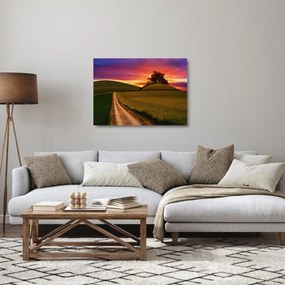 Sklenený obraz poľa a farebného neba (70x50 cm)
