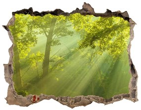 Nálepka fototapeta 3D výhled Forest na slnku nd-k-88868942