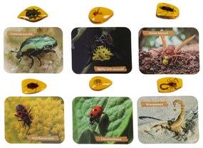 KIK Vzdelávacia súprava pre deti - Archeologické vykopávky: Hmyz v jantári 6+