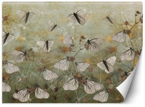 Gario Fototapeta Motýle na pozadí starej steny Materiál: Vliesová, Rozmery: 400 x 280 cm