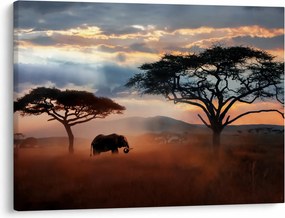 Obraz - Národný park Serengeti, Tanzánia, Afrika (70x50 cm)