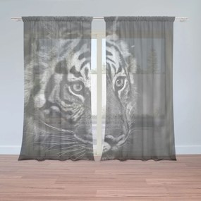 Sablio Záclony Čiernobiely tiger: 2ks 150x250cm