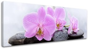 Obraz na plátne FENG SHUI_062-13 | rôzne rozmery
