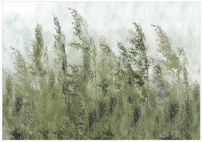 Fototapeta  - Vysoké trávy (zelená) 300x210 + zadarmo lepidlo