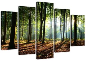Gario Obraz na plátne Slnečné lúče v lese - 5 dielny Rozmery: 150 x 100 cm