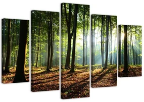 Gario Obraz na plátne Slnečné lúče v lese - 5 dielny Rozmery: 200 x 100 cm