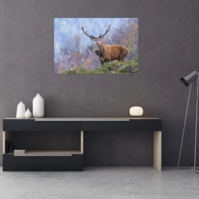 Obraz - Jeleň v krajine (90x60 cm)