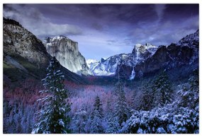 Obraz - Yosemite, USA (90x60 cm)